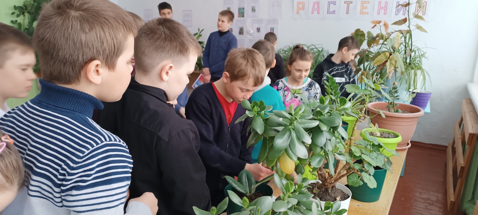 &amp;quot;Путешествие в мир комнатных растений&amp;quot;..